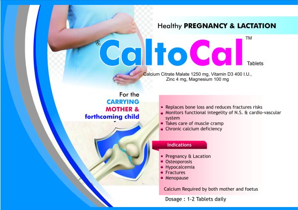 CALTOCAL - Image 2