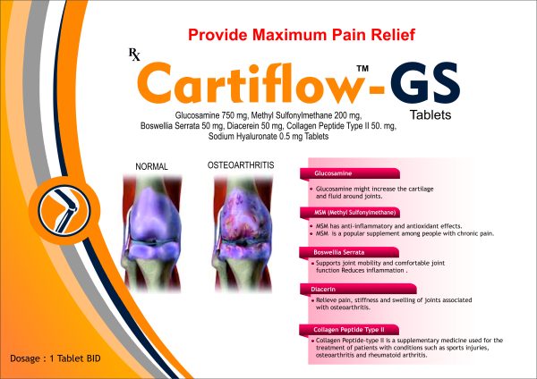 CARTIFLOW GS - Image 2