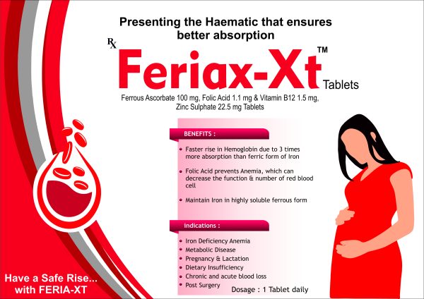 FERIEX XT - Image 2