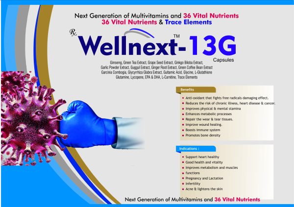 WELLNEXT13G - Image 3
