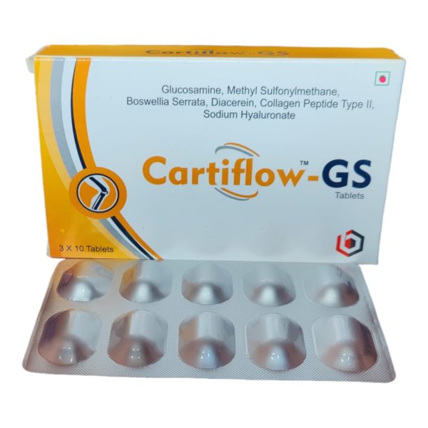 CARTIFLOW GS