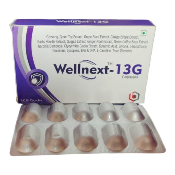 WELLNEXT13G - Image 2