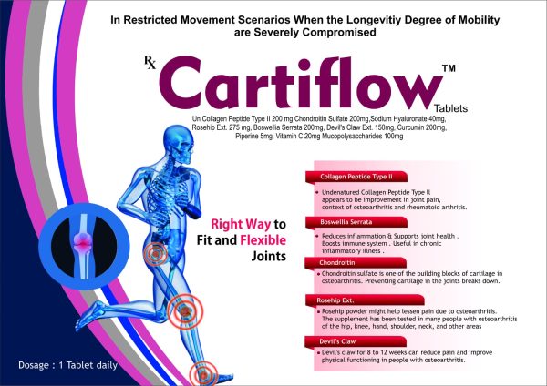 CARTIFLOW - Image 2