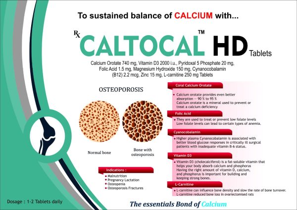 CALTOCAL HD - Image 2